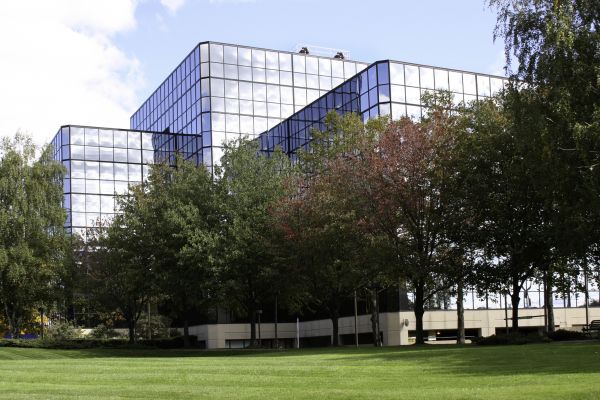 Commercial Tree Trimming in Longmont
