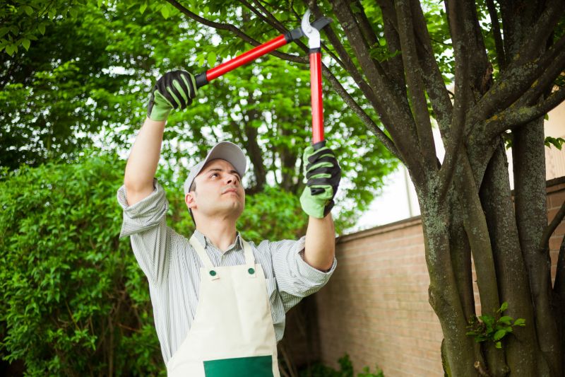 Precise Tree Pruning by an Arborist